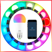 Smart Light Bulb