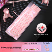 Pink Mechanical Keyboard And Mouse Set