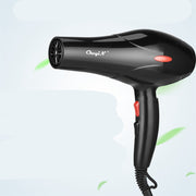 Thermostat Speed Home Hair Dryer