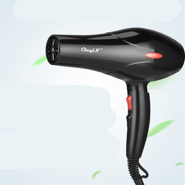 Thermostat Speed Home Hair Dryer